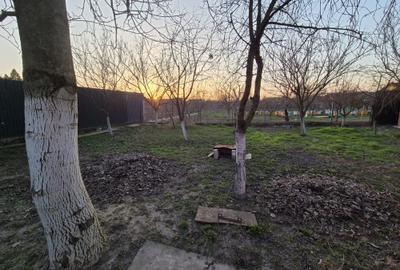 Casă la sol utilata, Micălaca, teren 765 mp, front 27 m, 0% comision - 11