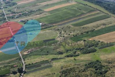 Teren extravilan de 30.000 Mp, zona Valea Chintaului - 1