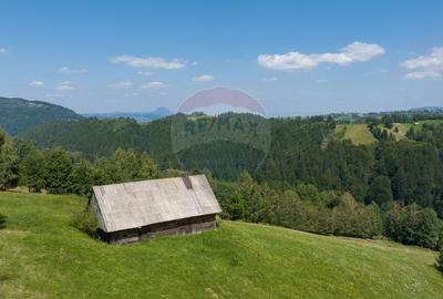 Teren Panoramic in Bran – Vedere spre Bucegi & Piatra Craiului - 10