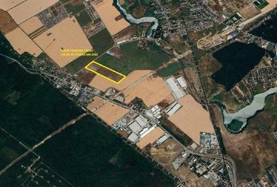 BUFTEA  TEREN 79,500 mp Strada Milano - 1