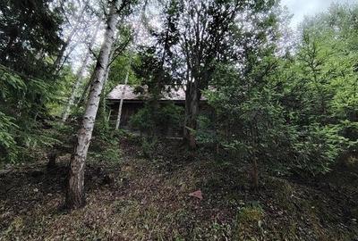 Casa de vacanta nefinalizata (Gheorgheni, zona Magasbukk, km 5) - 8