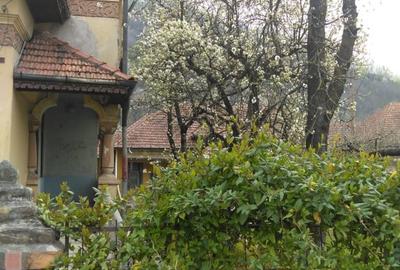 Conac autentic cu arhitectură deosebită!Proprietate cu caracter și teren 7.817mp - 2