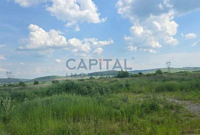 Teren de vanzare, langa Autostrada - 4