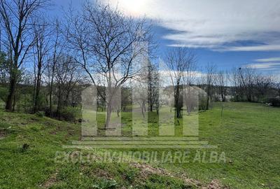 Casa individuala | De vanzare | 200 mp | 8140 mp teren | Oarda de Sus - 17