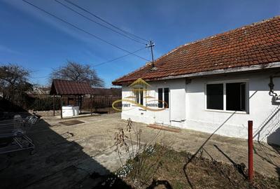 Casa batraneasca cu 800 mp teren de vanzare in Tache / Bacau - 8
