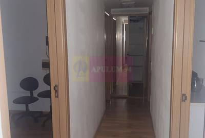 Spatiu Comercial Stradal Șoseaua Colentina zona Teiul Doamnei Suveica - 60