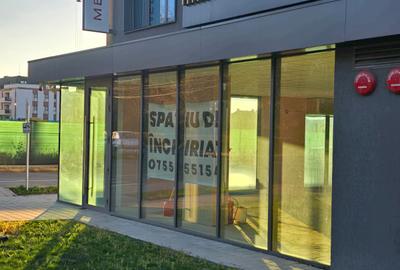 Spatiu Comercial pe Bld. Victoriei vizavi de Parcul Sub Arini - Hotel Mercure - 2