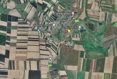 Teren Construcții intravilan de 5000 mp, în Tămășeu