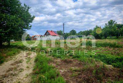 Teren intravilan 25 ari, parcelabil – Baia Sprie, zonă frumoasă și liniștită - 5