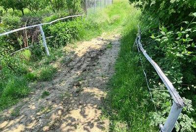 Teren 2033 mp- langa padure-  Margineni- Podis Dubas - 5