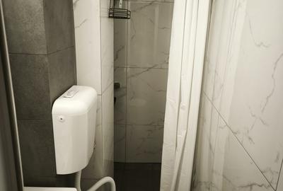 Apartament 2 camere  Podu Ros Salubris  id.oferta 162587 - 4