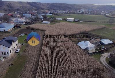 Casă + teren 2335 mp de vânzare – comuna Bodesti - 3
