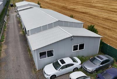 CIOLPANI, LOT 5.000 MP, HALE INDUSTRIALE! - 4