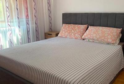 Ap 4 cam conf 1 Vidin 80 mp mobilat si utilat partial - 4