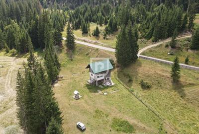 Teren Voronet 4700mp INTRAVILAN | Gura Humorului | Bucovina - 5
