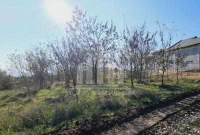Teren intravilan | 1001 mp | 17 ml deschidere | Podei - 2