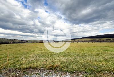 Teren intravilan în Tocile - 39 euro/mp - 4354 m² - 2 fronturi - 22