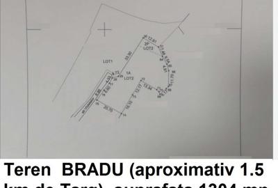 Terenuri Bradu, diverse suprafete - 4