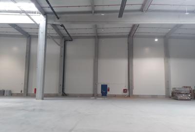Spatii logistice clasa A Bucuresti EST - 3