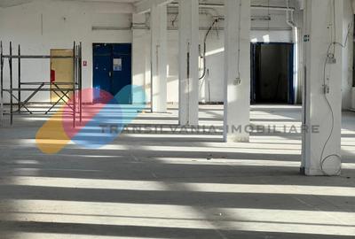 Spațiu industrial/comercial – 614 mp, lift 2 tone, zonă Clujana - 1