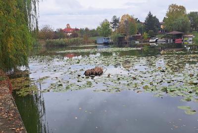 OAZA DE LINISTE SI RAFINAMENT LA MALUL LACULUI - 2