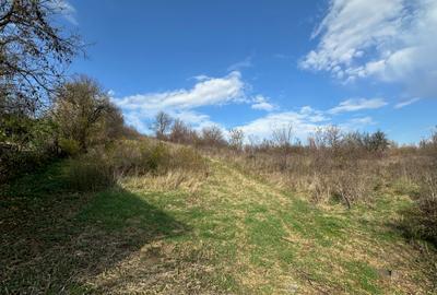 Teren intravilan 790 mp in Cisnadie - zona str. Selimbarului - 3