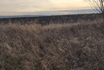 Teren agricol extravilan de 2000 mp, în Tureni