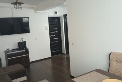 Apartament 2 camere tip studio Brazda regia de tutun - 12