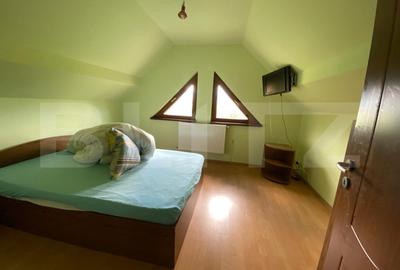 Casa cu potential turistic, 380 mp, FUNDATA - 14
