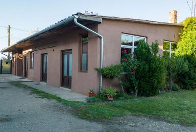 Hală industrială cu multiple destinații în Nădlac - 51