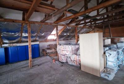 VIND VILA CU SPATIU INDUSTRIAL LOCUIT (pretabil la orice activitate) DASCALU IF - 7