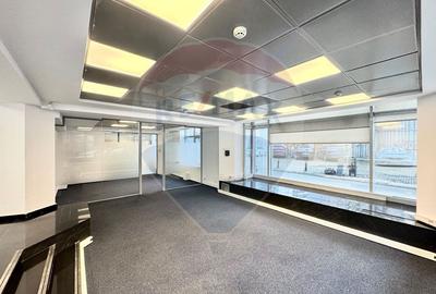 Spații birouri de închiriat Piata Victoriei | Spații 110–296mp - 4