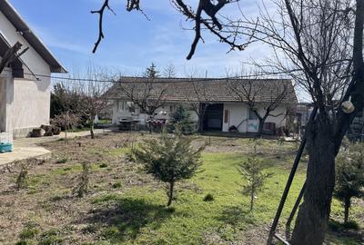 Mitreni-Valea Rosie-Acasa la Tara -4 camere-178 mp-LOT  1000 mp+Casa secundara - 34