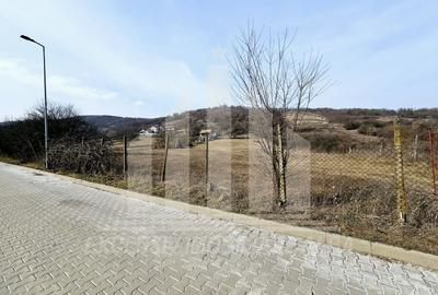 Teren intravilan | 14000 mp | 35 ml deschidere | Valea Popii - 3
