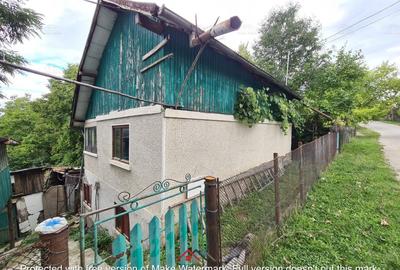 Casă individuală cu 3 camere în Telega