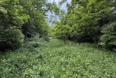 Teren plat-intravilan -3800 mp, cu pădurice și ieșire la râu! - 29