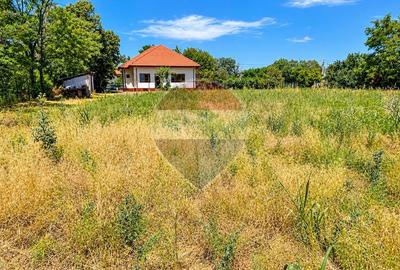 Casă cu 6 camere și teren de 4.800 mp în Ciocănești, Călărași - 2
