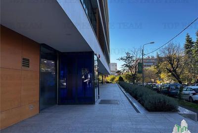 Spatiu de Birouri de 636 mp in Zona Herastrau - 15