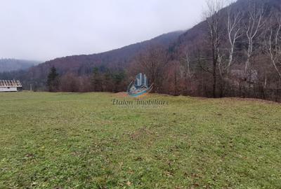 Teren Straja – Pangarati 3560 m, zona de Pensiune - 2