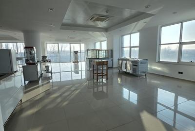 Splaiu Unirii teren 5000 mp Imobil S+P+5 Showroom, Clinica , Birouri , Hotel - 14