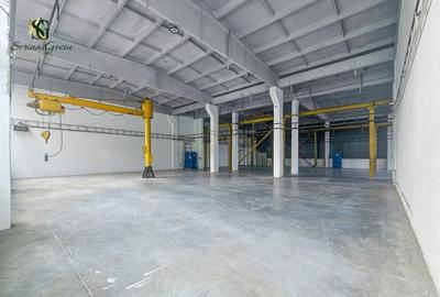 Hala indistriala optimizata pentru activitati de productie, Fagaras, Brasov - 9