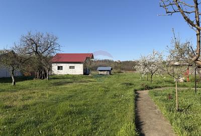 Casă / Vilă cu 3 camere de vânzare - 36