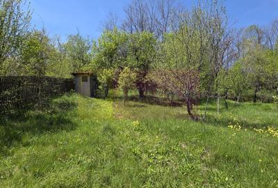 Teren cu Casuta de lemn in Sotrile (langă Valea Doftanei) - 11