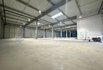 Hala industriala noua langa Oradea si A3, Bihor - 5