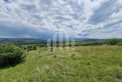 Teren extravilan | De vanzare | 1400 mp | 13 ml deschidere | Paclisa - 5
