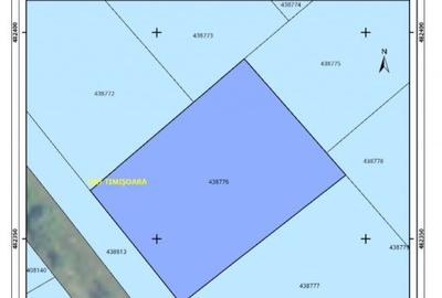 Teren Construcții intravilan de 3546 mp, în Mehala