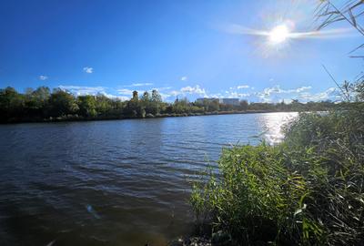 Teren intravilan Balotesti / 5.000 mp / D: 18 m / langa lac / comision 0% - 1