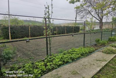 Colt de rai refugiul tău verde în inima naturii - 4