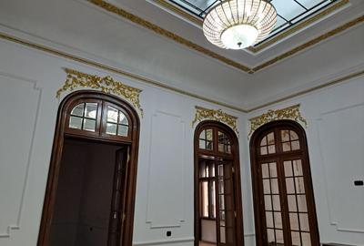 VILA ISTORICA GRADINA ICOANEI - UNIVERSITATE - 17