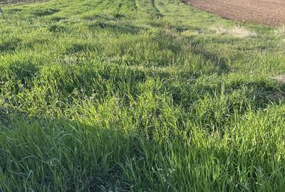 Teren Intravilan de vanzare in Alba Iulia zona Micesti in suprafata de 1077 mp - 1